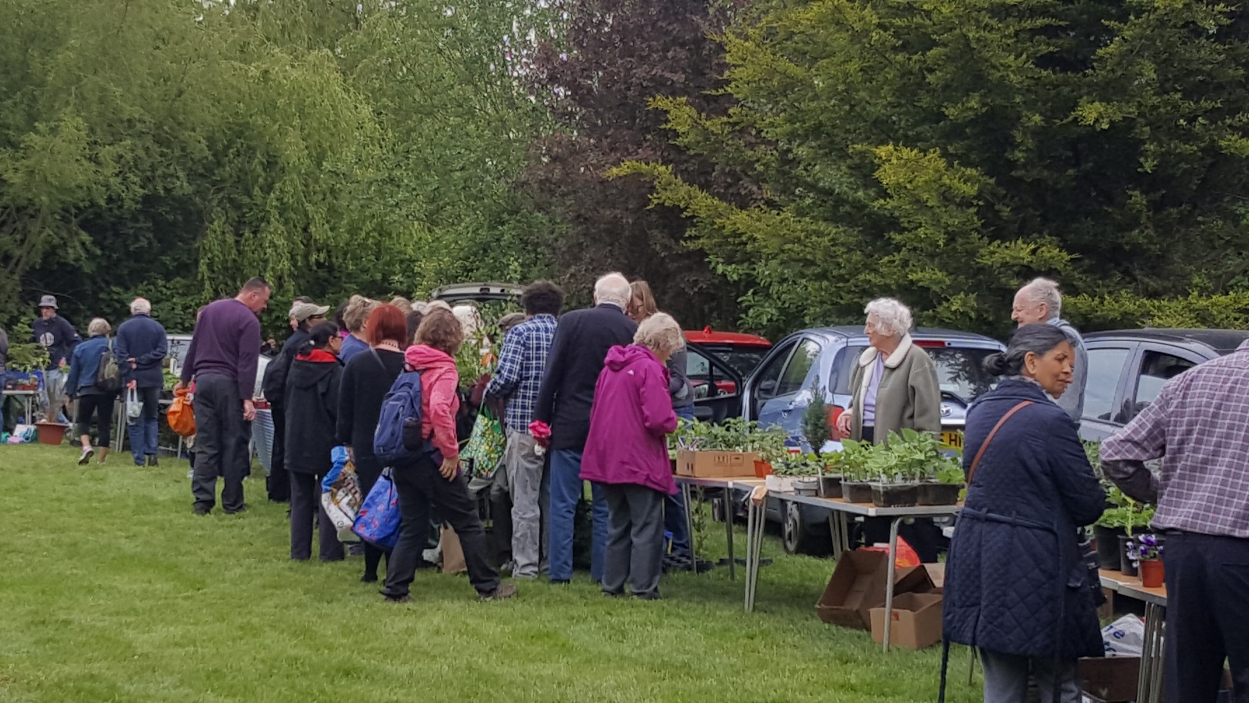 plant sale