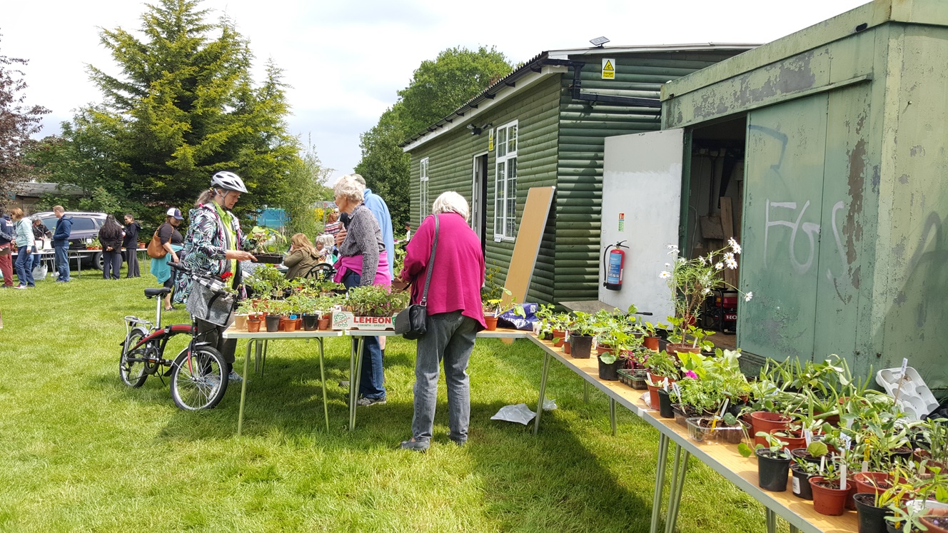 plant sale