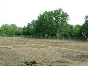 new plots