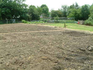 oldplots