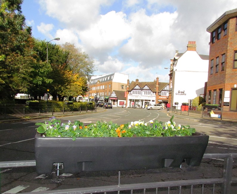 flowers back in Pinner