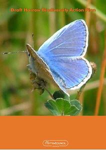 Draft Biodiversity Action Plan