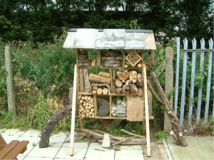 Insect house