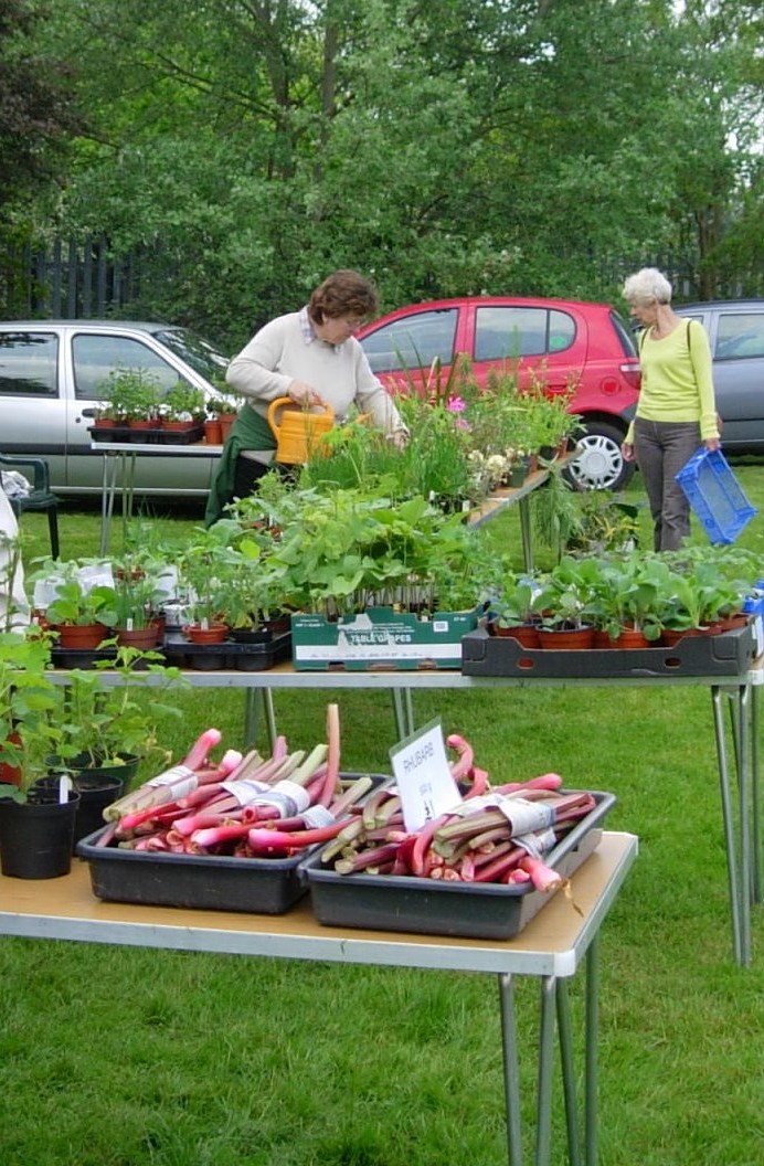 leaf plant stall