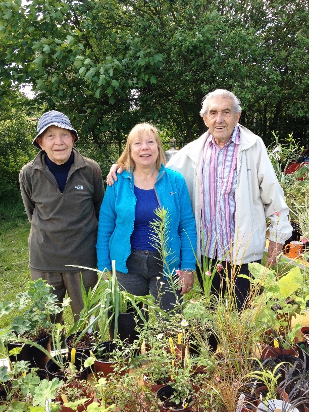 plant sale