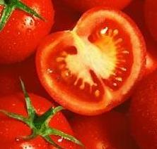 Diana's tomato sauce