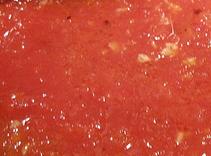 Diana's Tomato Sauce