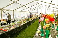 ...but spare a thought for the wine judge (on the left) who has to taste all the wines, beers and liqueurs.