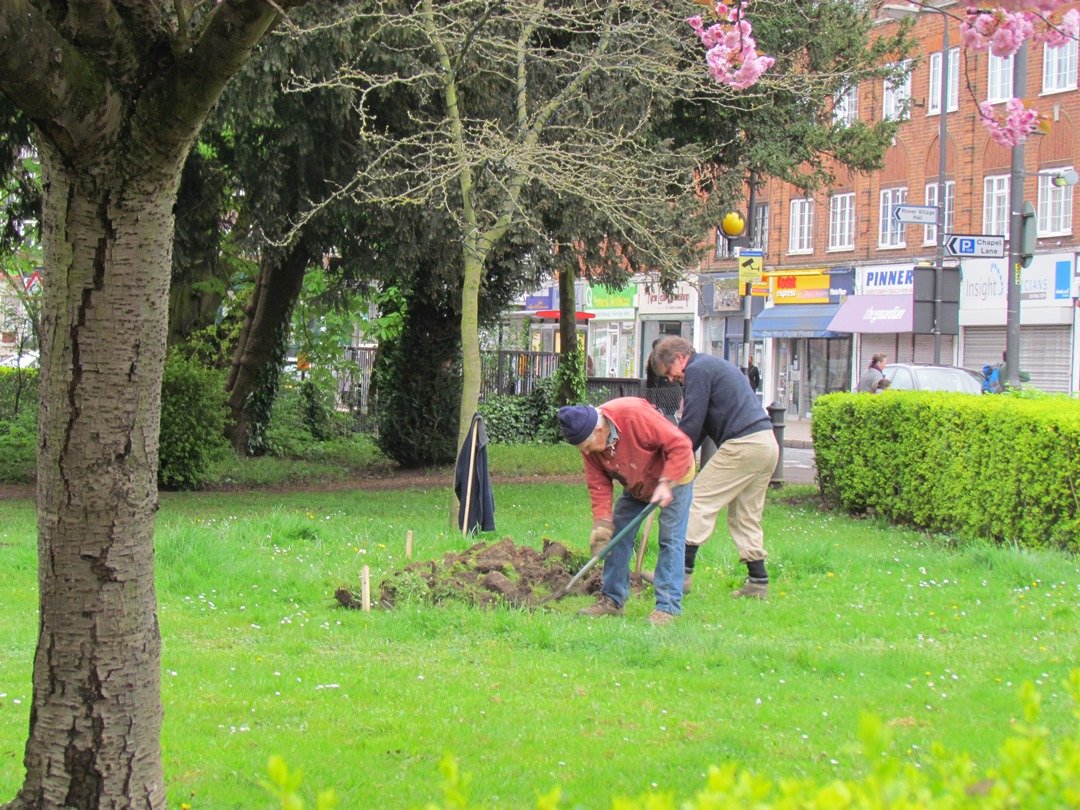 flowers back in Pinner