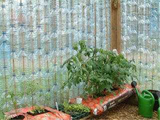 Inside the Bottle Greenhouse